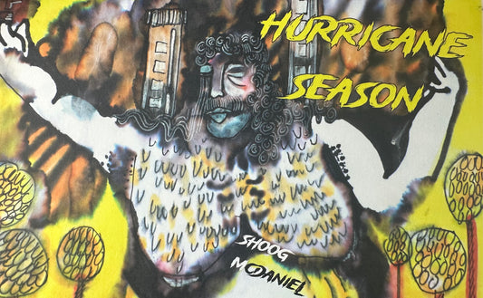 Hurricane Season- illustrated zine!