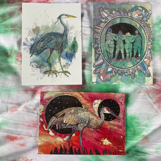 “BIRDS AND BOOTIES” 3-CARD PACK