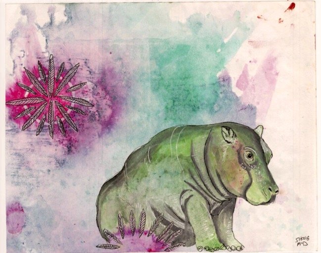 Hippo