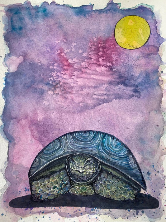 Tortoise and Moon
