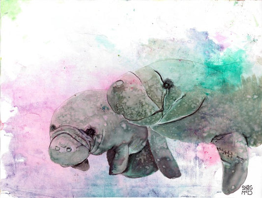 Manatee Friends